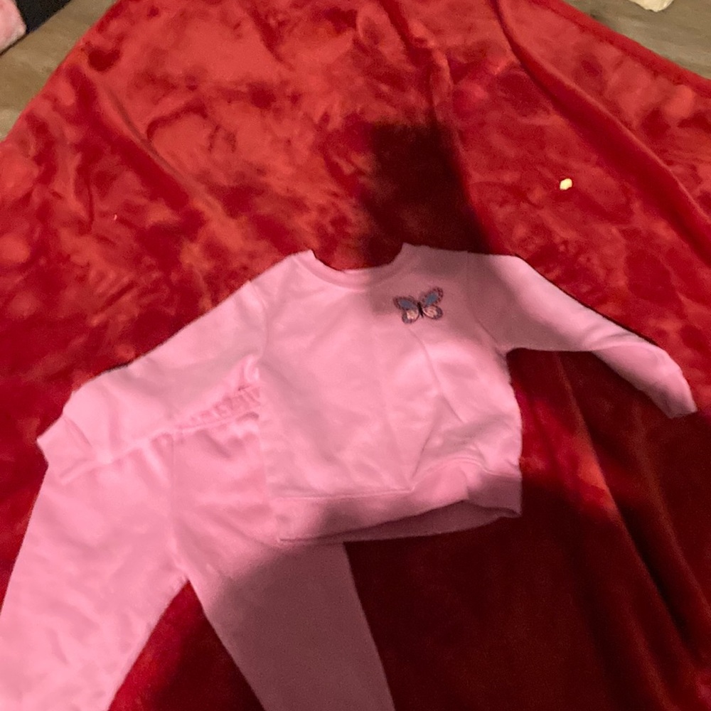 Pink sweatshirt with butterfly